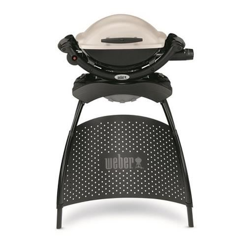 WEBER Barbecue gaz Q 1000 Stand Gas Grill