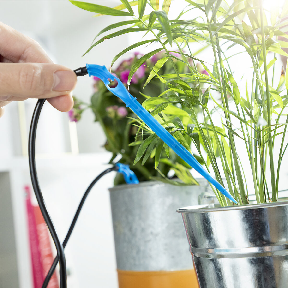 Système d’Arrosage Goutte-à-goutte Automatique pour Pots Regott InnovaGoods