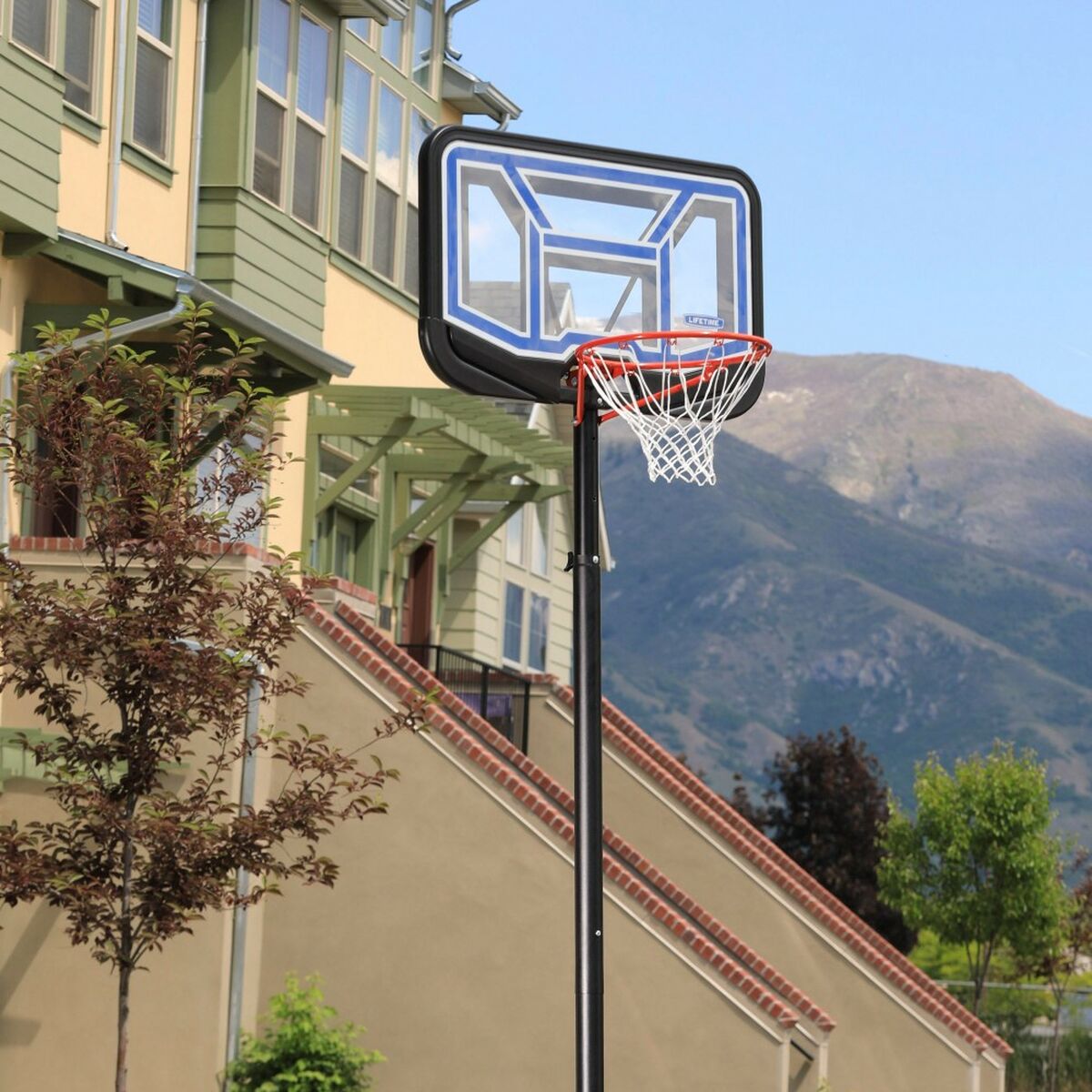 Panier de Basket Lifetime 110 x 305 x 159 cm