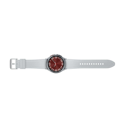 Montre intelligente Samsung SM-R955FZSAEUE Gris Argenté 43 mm