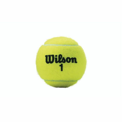 Balles de Tennis Wilson Championship XD  (3 pcs)