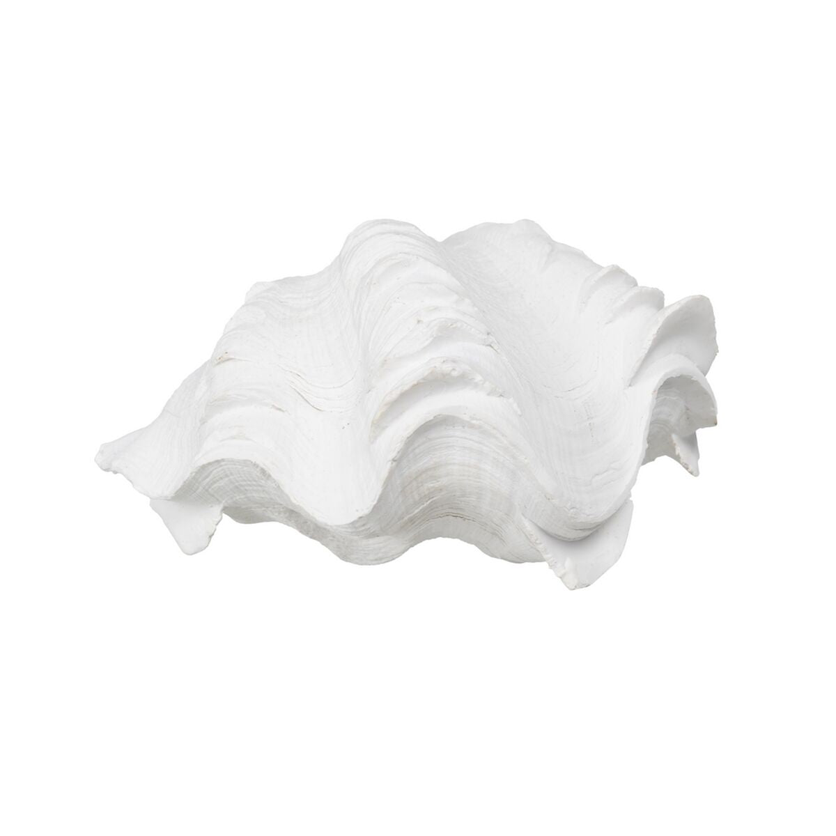 Figurine Décorative Blanc Conque 14 x 7 x 10 cm