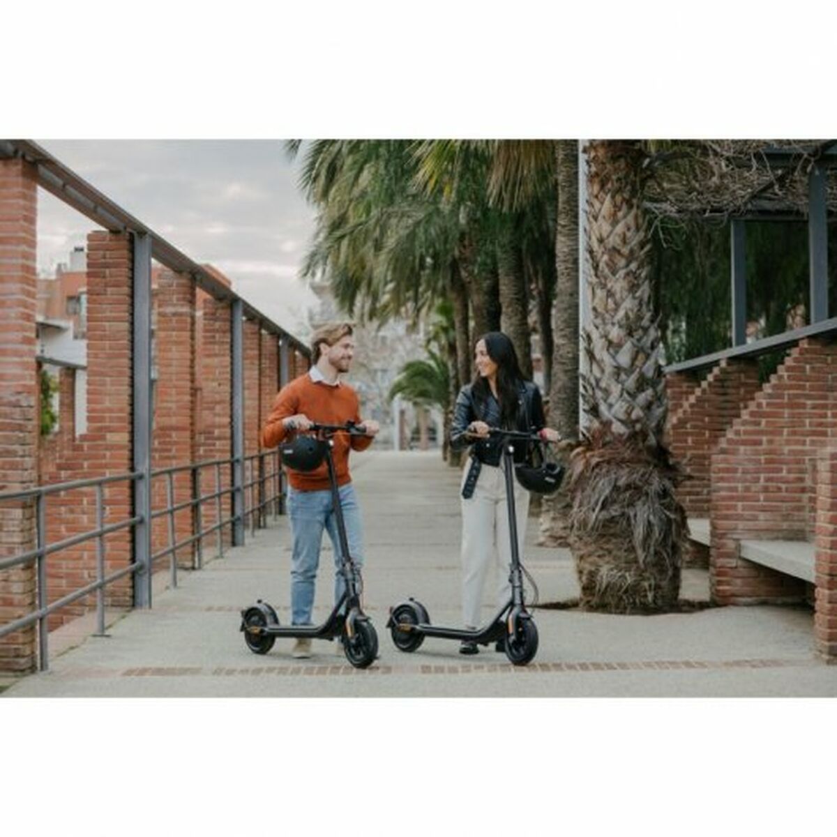 Trottinette Électrique Segway Ninebot KickScooter F2 Plus E Noir