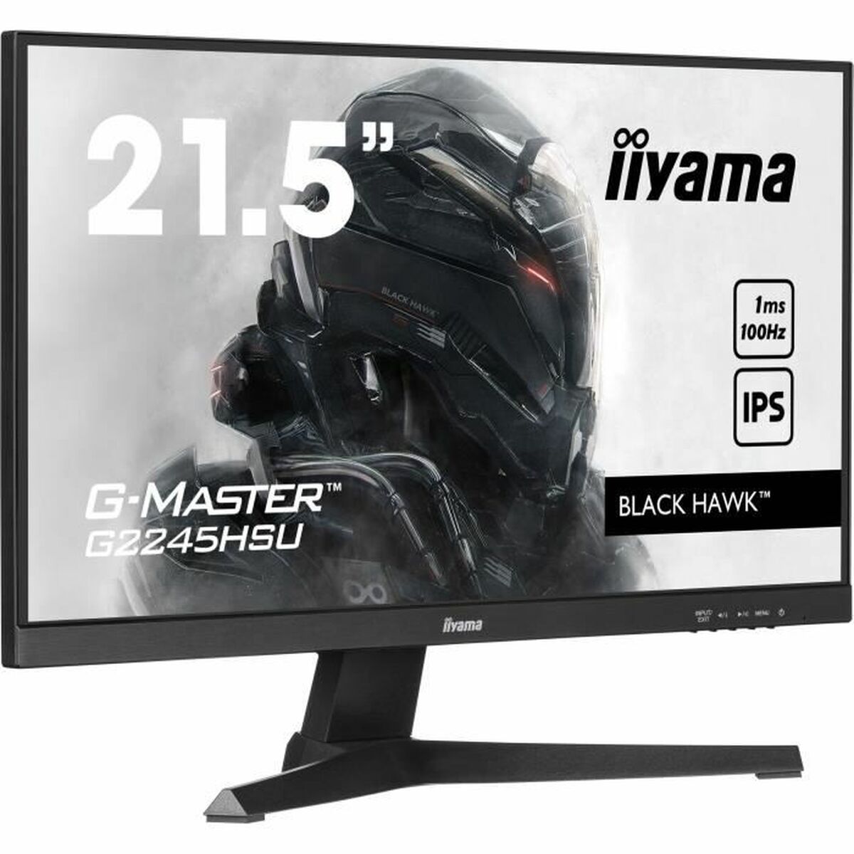 Écran Iiyama 21" Full HD 100 Hz