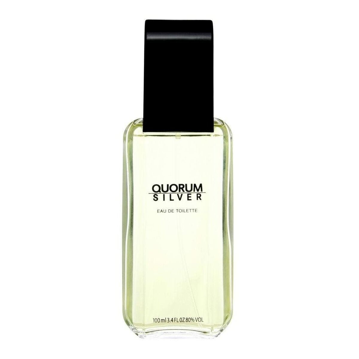 Parfum Homme Antonio Puig EDT Silver Quorum 100 ml