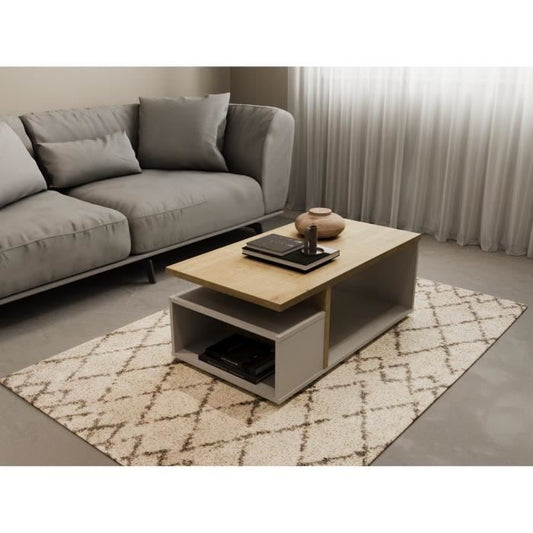 Table basse rectangulaire ACCESS - Décor chene Hamilton et blanc - L 91,8 x P 50 x H 36 cm - DEMEYERE