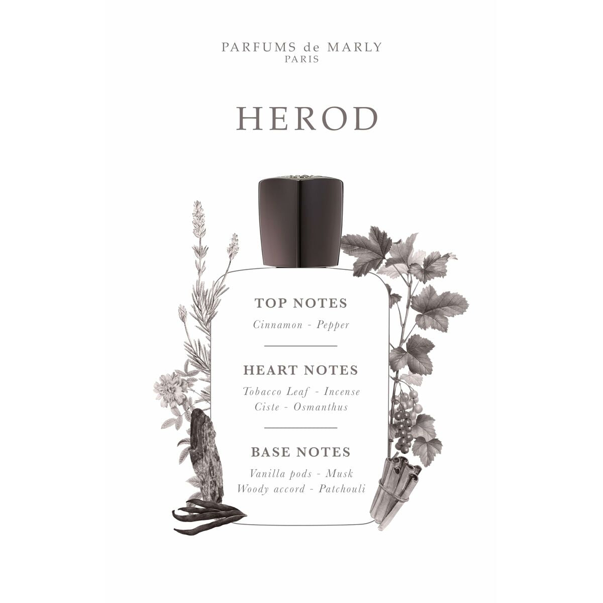 Parfum Homme Parfums de Marly Herod EDP 75 ml