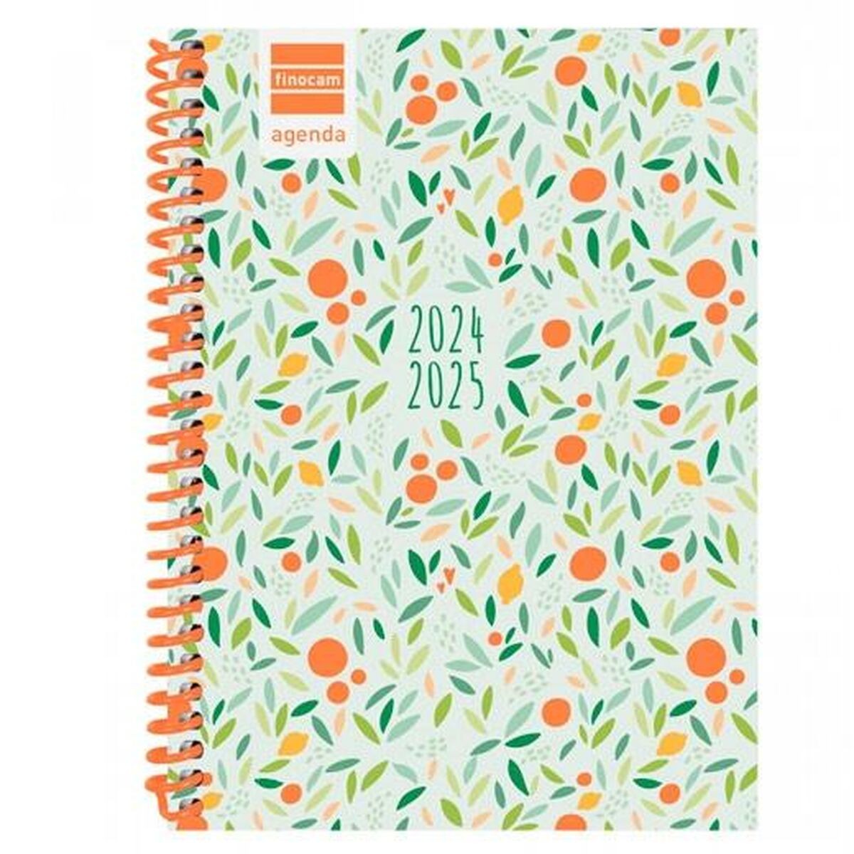 Agenda Finocam Diva Multicouleur 2024-2025