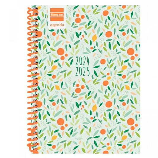 Agenda Finocam Diva Multicouleur 2024-2025