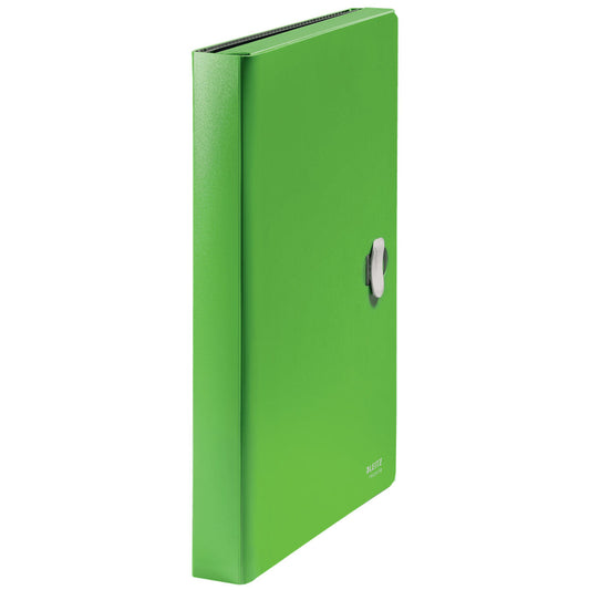 Classeur Leitz 46240055 Vert A4