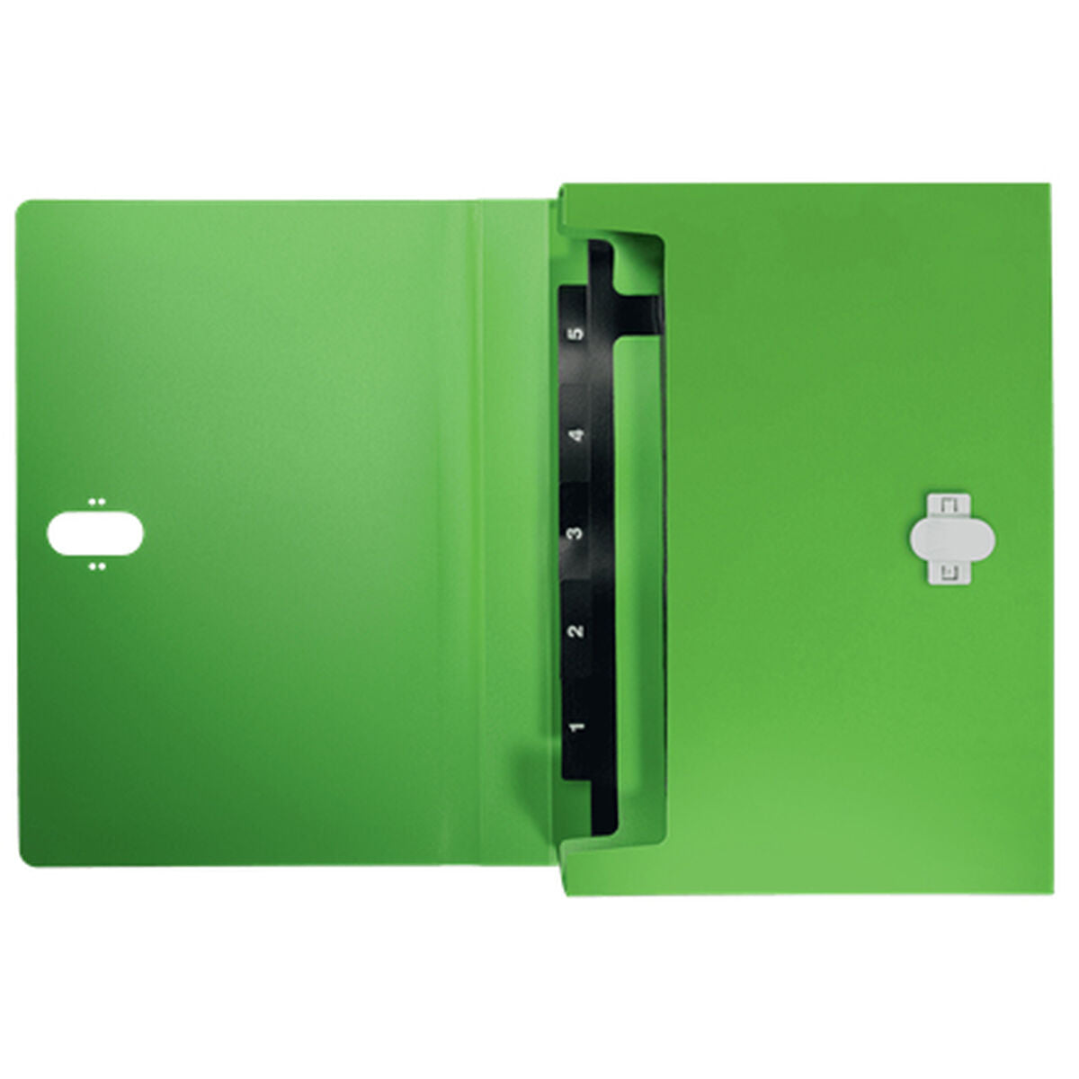 Classeur Leitz 46240055 Vert A4