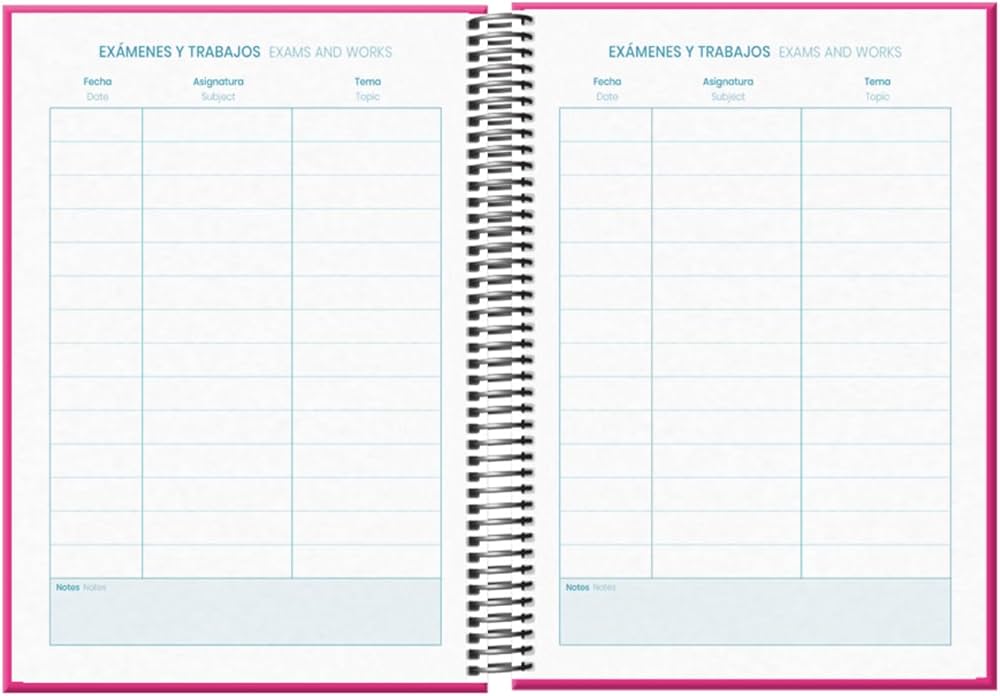 Agenda DOHE Tangram Basic Rose A5 2024-2025