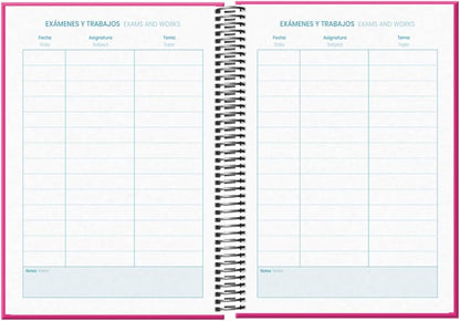 Agenda DOHE Tangram Basic Rose A5 2024-2025