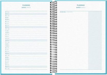 Agenda DOHE Tangram Basic Bleu 2024-2025