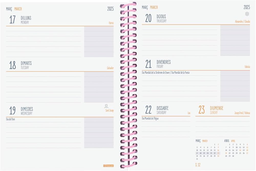 Agenda Finocam Diva Multicouleur 2024-2025 (1 Unité)