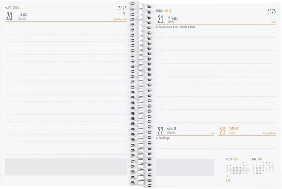 Agenda Finocam Cool Multicouleur 2024-2025